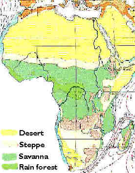 Vegitation of Africa