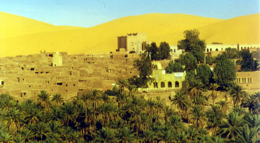 Algerian oase
